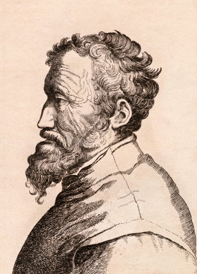 Michelangelo di Lodovico Buonarroti Simoni, illustration from 